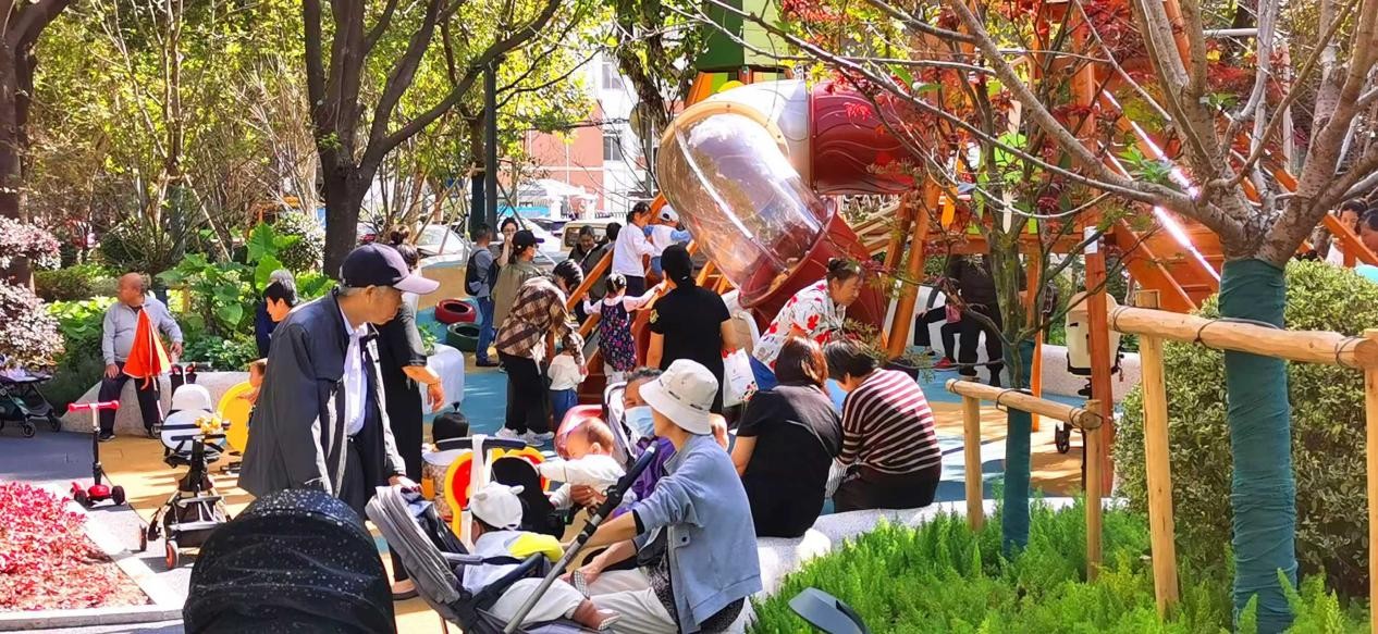 图片12.jpg 图片12.jpg